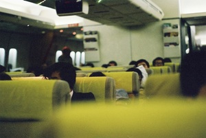 08 nov 08-2.jpg
